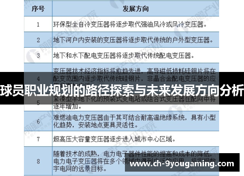 球员职业规划的路径探索与未来发展方向分析