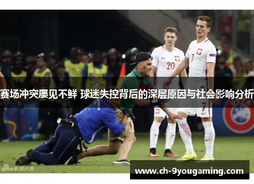 赛场冲突屡见不鲜 球迷失控背后的深层原因与社会影响分析